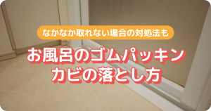 ゴムパッキン カビ